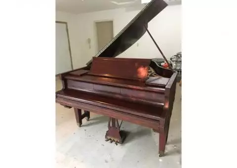 1902 Baby Grand Piano - George Steck & Company - $400